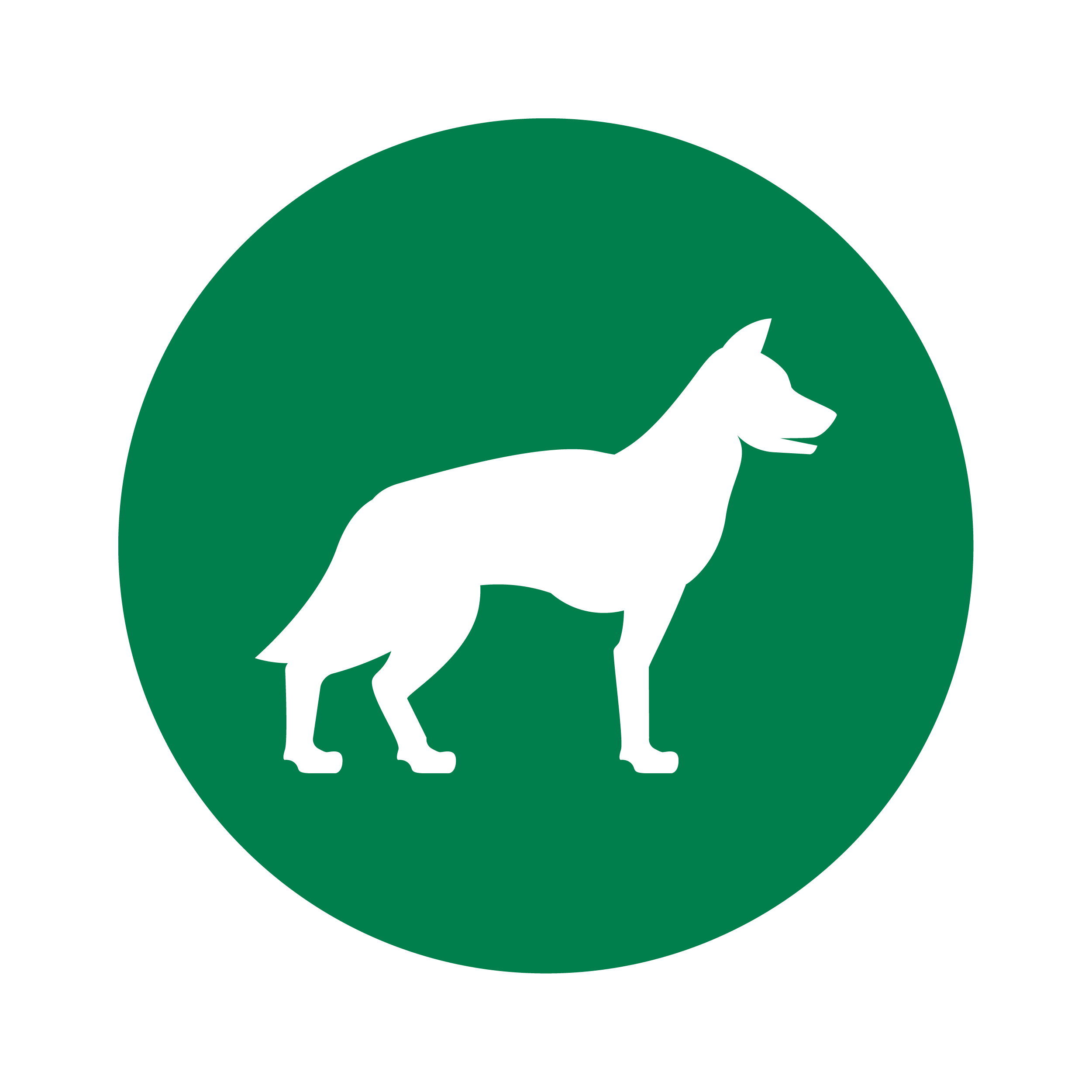 card-img