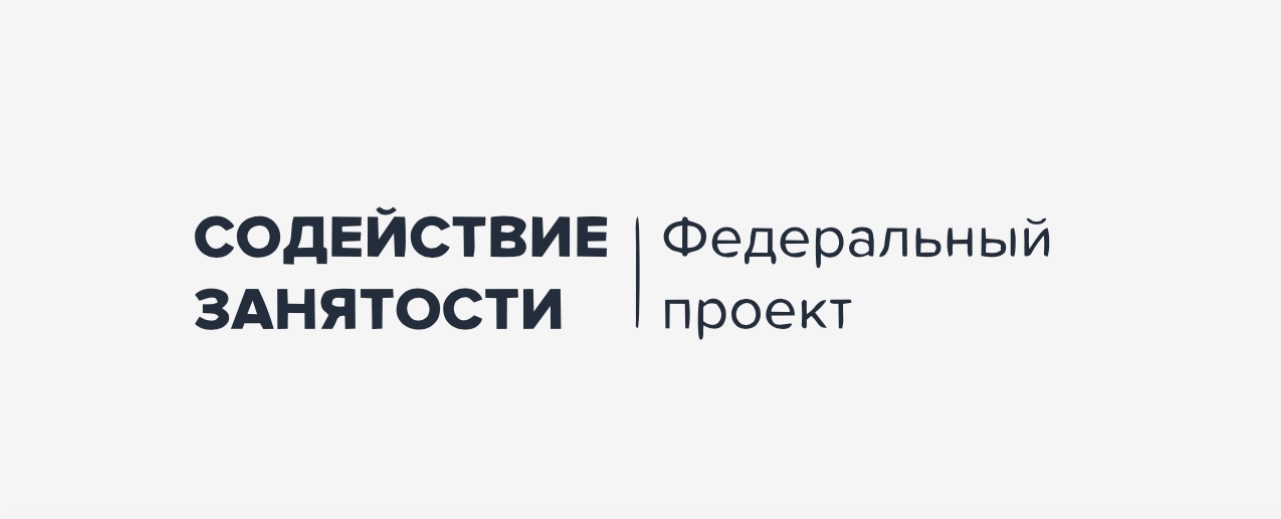 Федеральный проект Содействие занятости